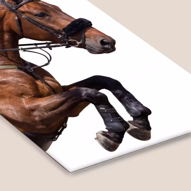 Poster met lijst - Springend Paard — 7