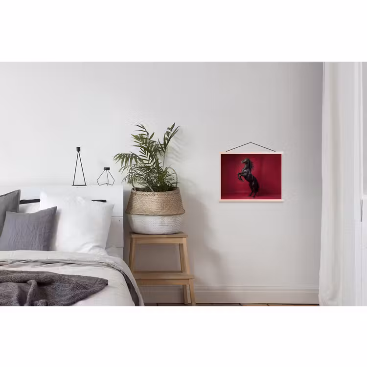 Schoolplaat - Hengst - Steigert - Rood — 2