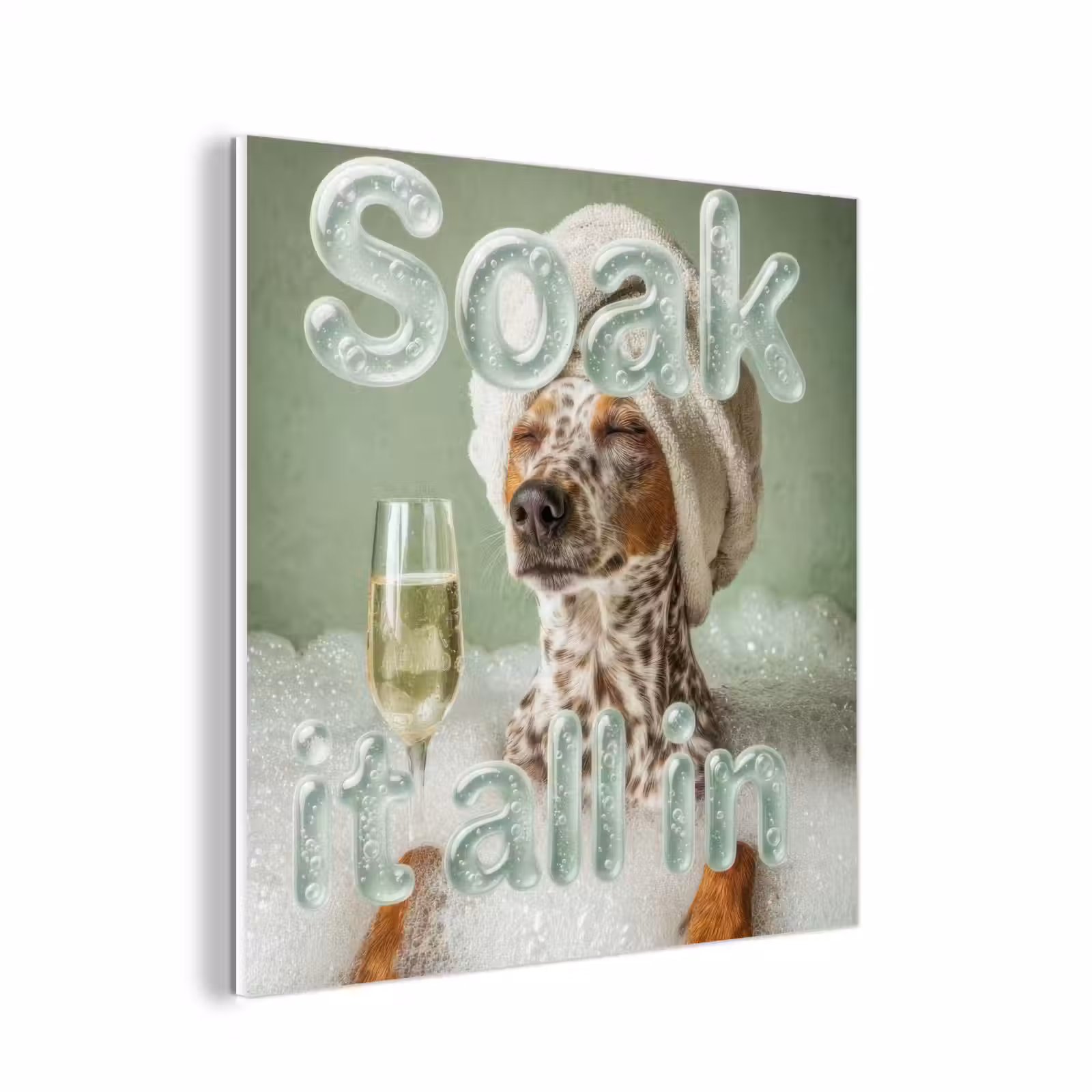 Forex - Soak it all in - Hond - Bad — 1