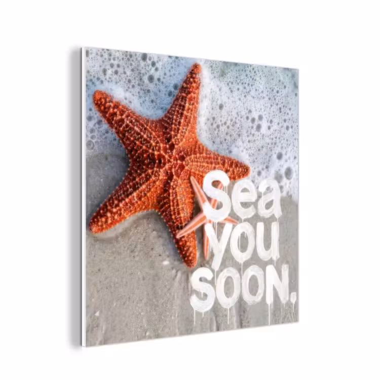 Forex - Sea you soon - Zeester - Zee — 1