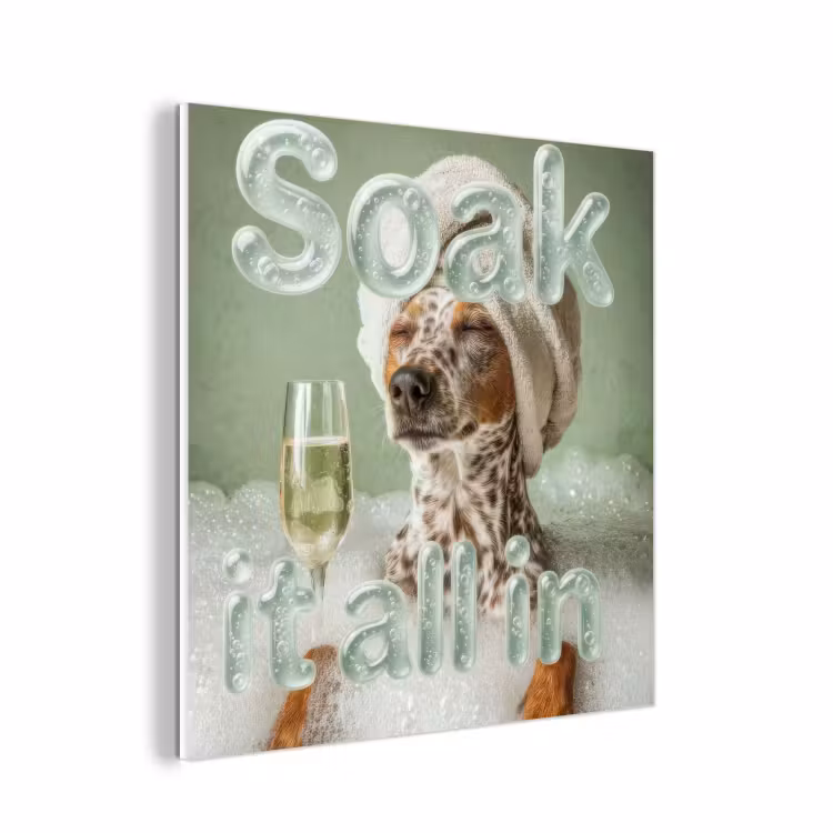 Forex - Soak it all in - Hond - Bad — 1
