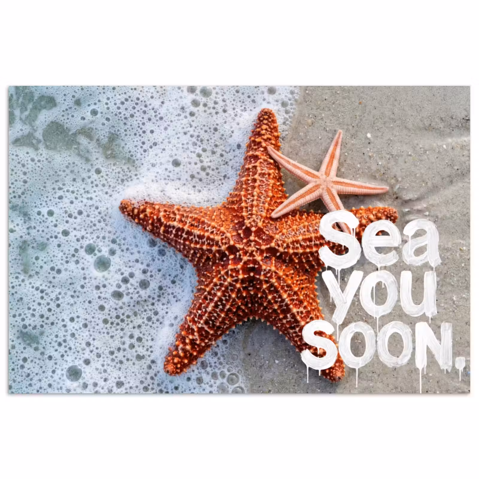 Poster - Sea you soon - Zeester - Zee — 1