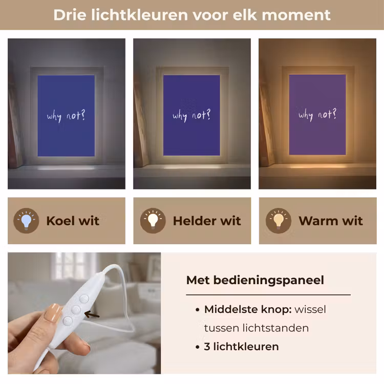 Tafellamp - Why not - Blauw - Handgeschreven — 6