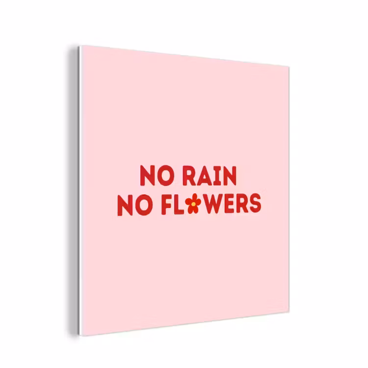 Forex - No rain no flowers - Minimalistisch - Roze - Bloem — 1