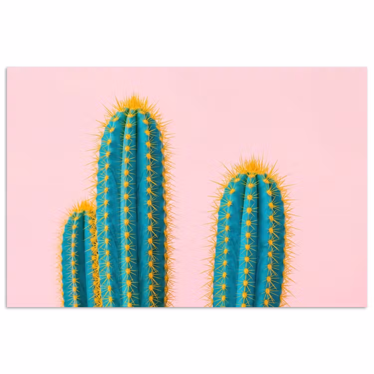 Poster - Cactussen - Modern - Pastel — 1