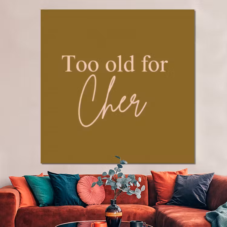 Forex - Groen - Too old for cher - Roze — 3