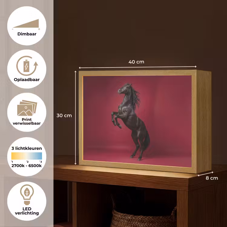 Lightbox - Wandlamp - Hengst - Steigert - Rood — 10