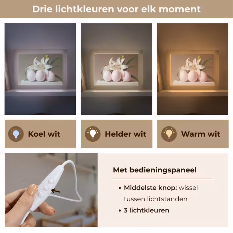 Lightbox - Wandlamp - Lelies - Eieren - Pasen — 7