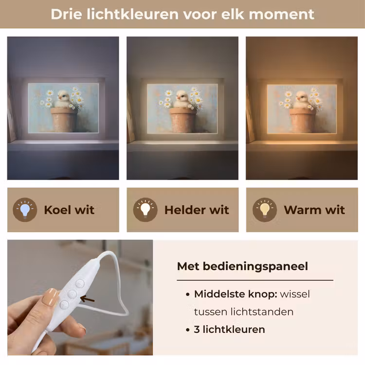 Lightbox - Wandlamp - Bloempot - Kuiken - Bloemetjes — 7
