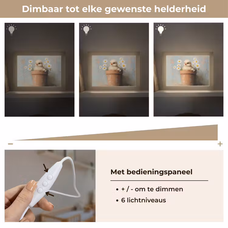 Lightbox - Wandlamp - Bloempot - Kuiken - Bloemetjes — 8
