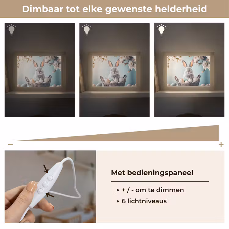 Lightbox - Wandlamp - Konijn - Eieren - Mand — 8