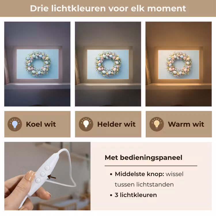 Lightbox - Wandlamp - Krans - Eieren - Bloemen — 7