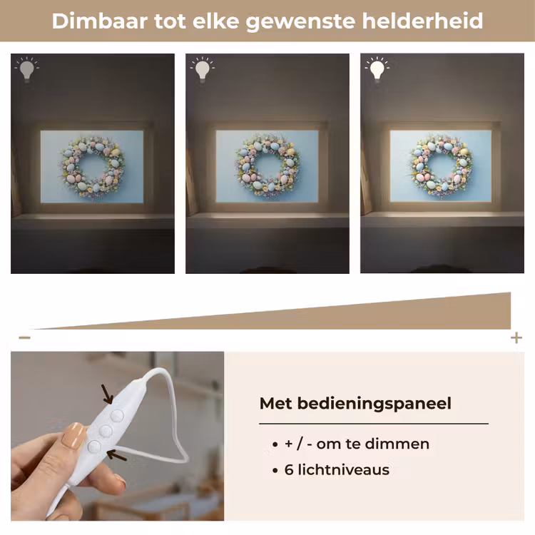 Lightbox - Wandlamp - Krans - Eieren - Bloemen — 8