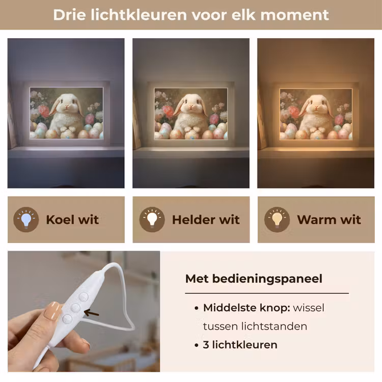 Lightbox - Wandlamp - Konijn - Paaseieren - Stilleven — 7
