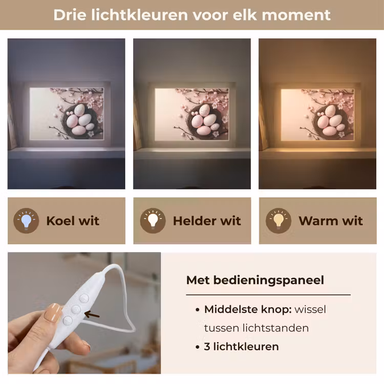 Lightbox - Wandlamp - Roze - Bloesems - Eieren — 7
