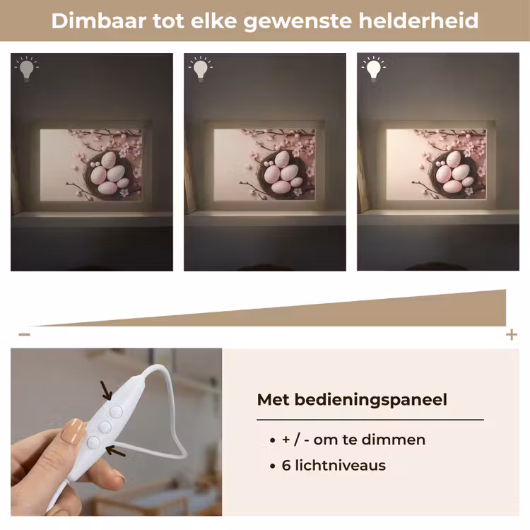 Lightbox - Wandlamp - Roze - Bloesems - Eieren — 8