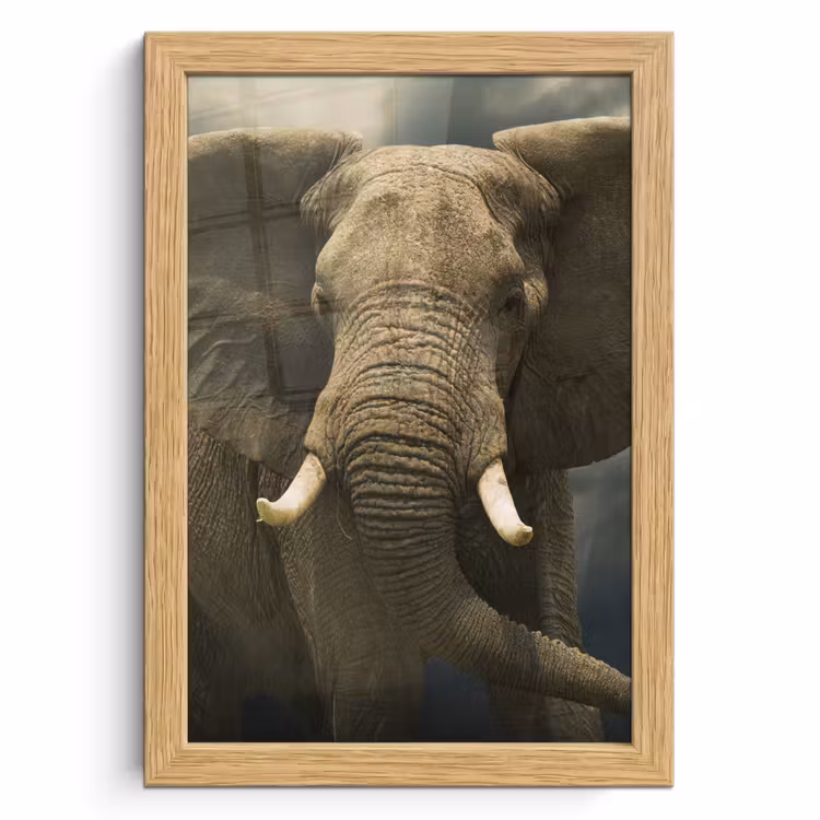 Poster met lijst - Afrikaanse olifant tegen de donkere wolken — 1