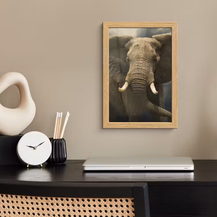 Poster met lijst - Afrikaanse olifant tegen de donkere wolken — 2
