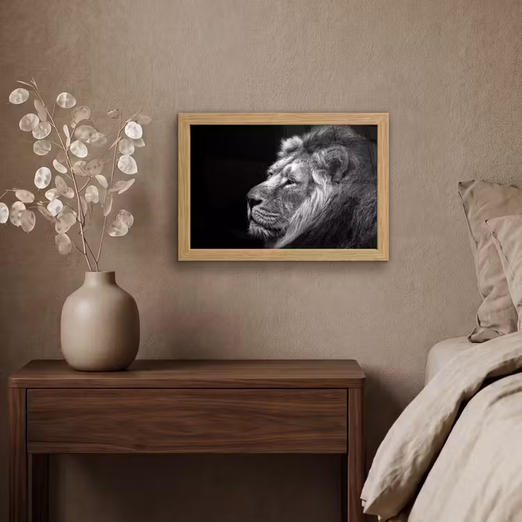 Poster met lijst - Leeuw tegen zwarte achtergrond in zwart-wit — 4