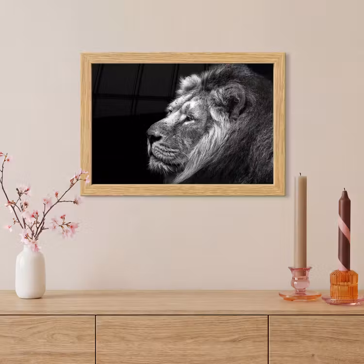 Poster met lijst - Leeuw tegen zwarte achtergrond in zwart-wit — 5