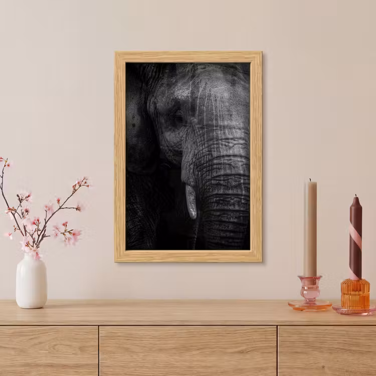 Poster met lijst - Olifant - Dier - Portret — 5