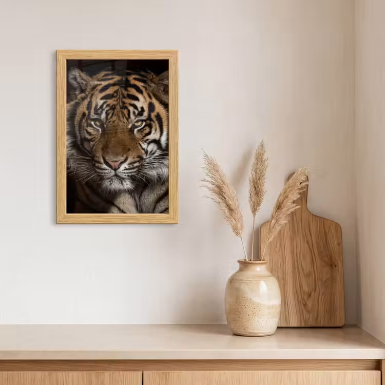 Poster met lijst - Tijger - Wilde dieren - Portret — 3