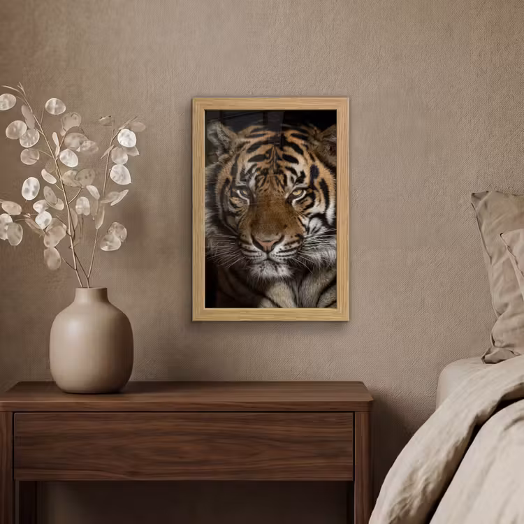 Poster met lijst - Tijger - Wilde dieren - Portret — 4