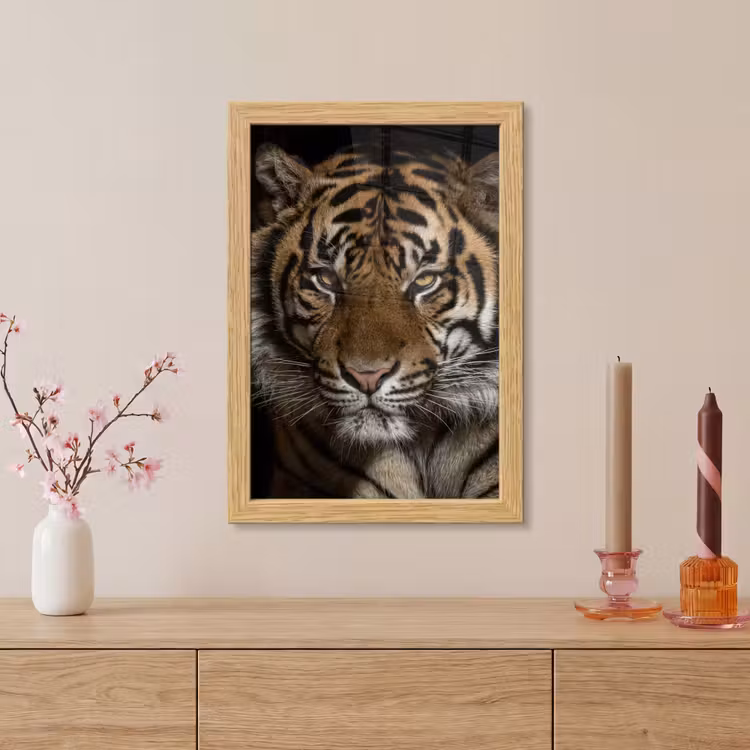 Poster met lijst - Tijger - Wilde dieren - Portret — 5