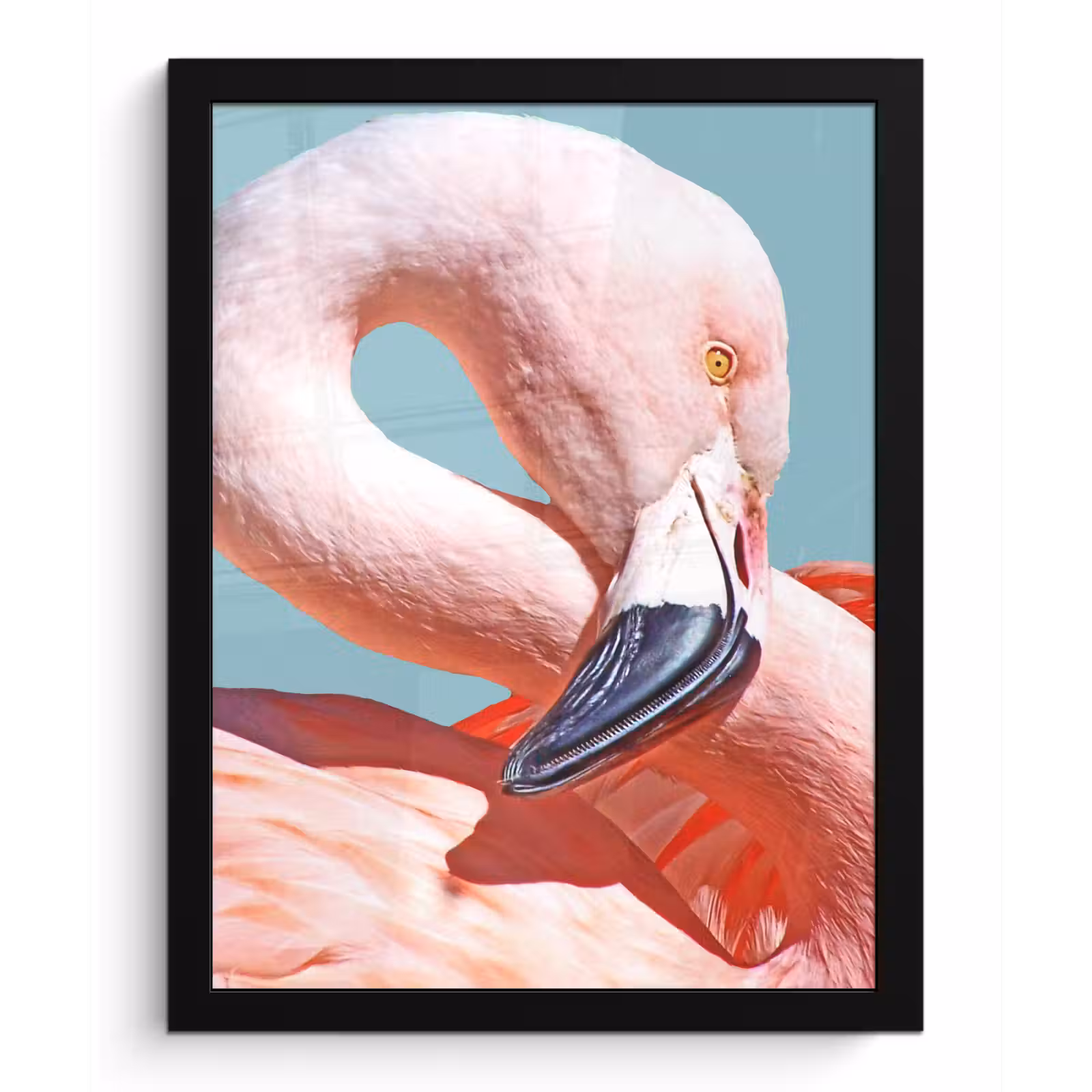 Poster met lijst - Close-up flamingo — 1