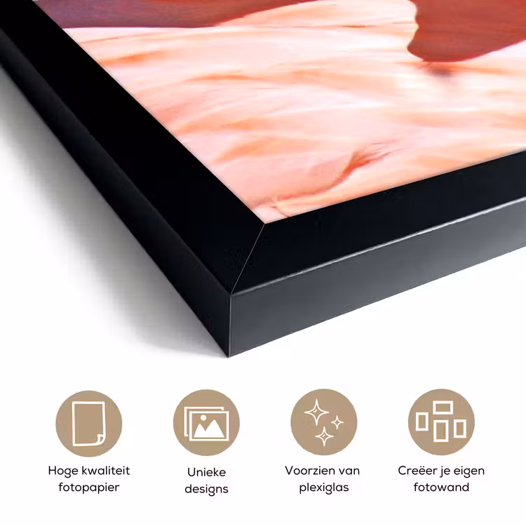 Poster met lijst - Close-up flamingo — 6