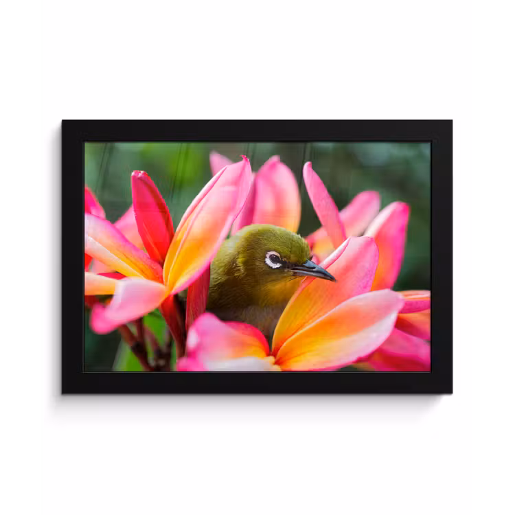 Poster met lijst - Tropische vogel tussen roze bloem — 1