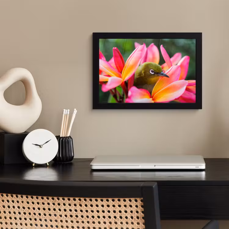 Poster met lijst - Tropische vogel tussen roze bloem — 2