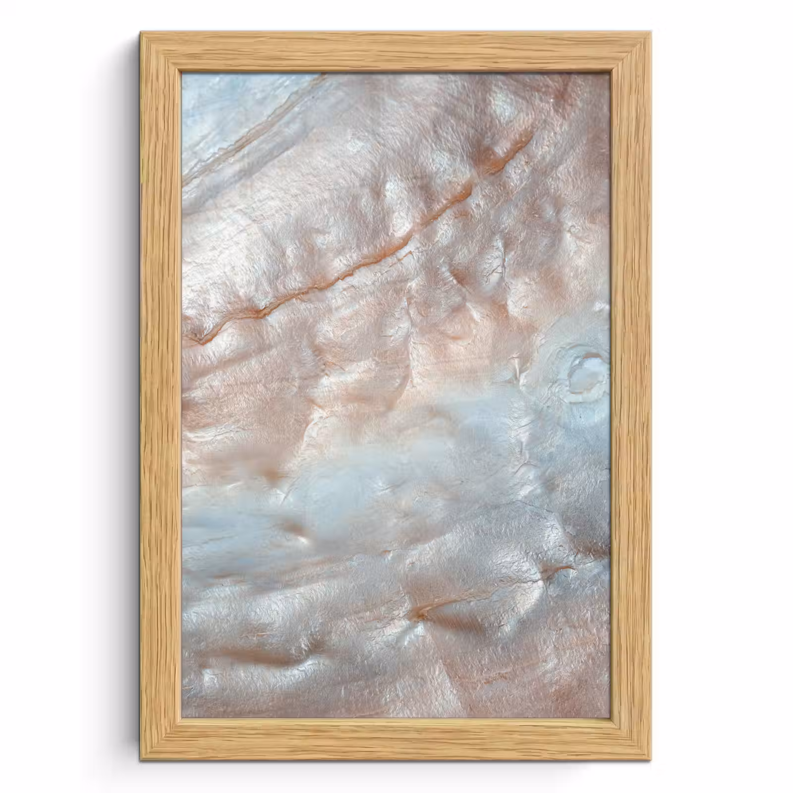 Poster met lijst - Schelpen - Abstract - Natuur — 1