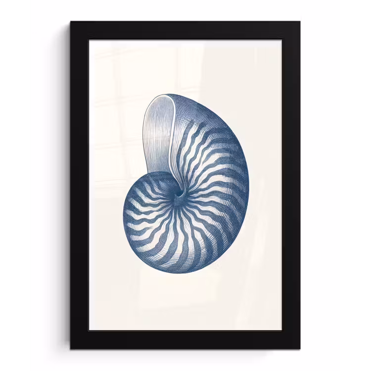 Poster met lijst - Blauw - Schelp - Spiraal — 1