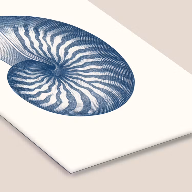Poster met lijst - Blauw - Schelp - Spiraal — 7