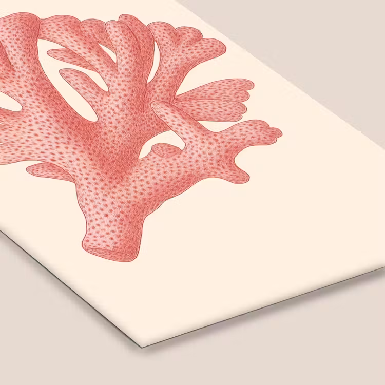 Poster met lijst - Koraal - Stipjes - Roze — 7