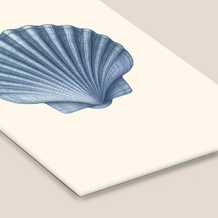 Poster met lijst - Ribbels - Blauw - Schelp — 7