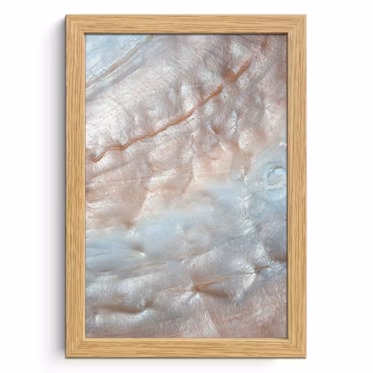 Poster met lijst - Schelpen - Abstract - Natuur — 1