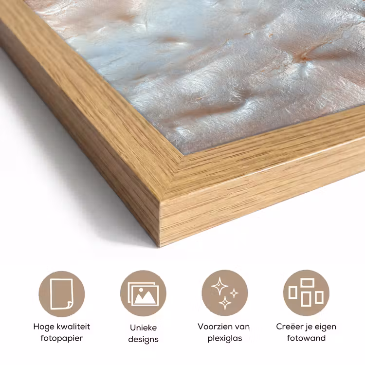 Poster met lijst - Schelpen - Abstract - Natuur — 6