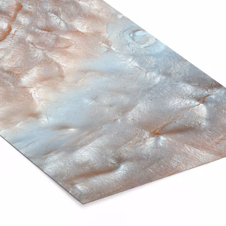 Poster met lijst - Schelpen - Abstract - Natuur — 7