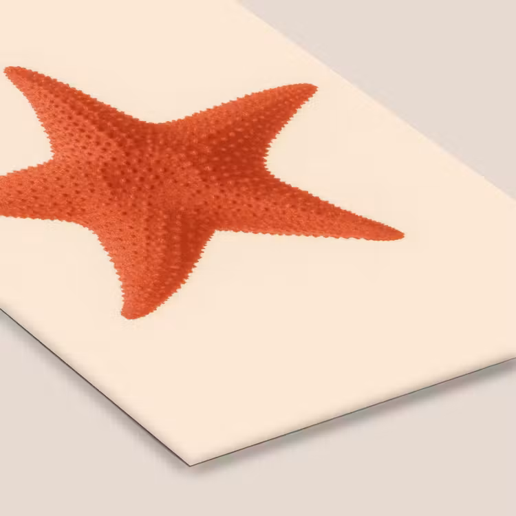 Poster met lijst - Zeester - Bobbels - Rood — 7
