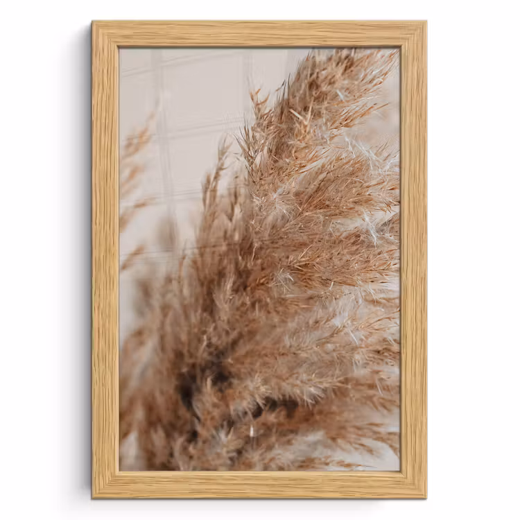 Poster met lijst - Gras - Planten - Natuur - Pampasgras — 1