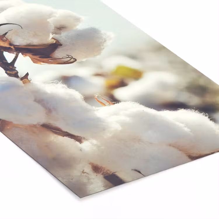 Poster met lijst - Planten - Bloem - Tak - Natuur — 7