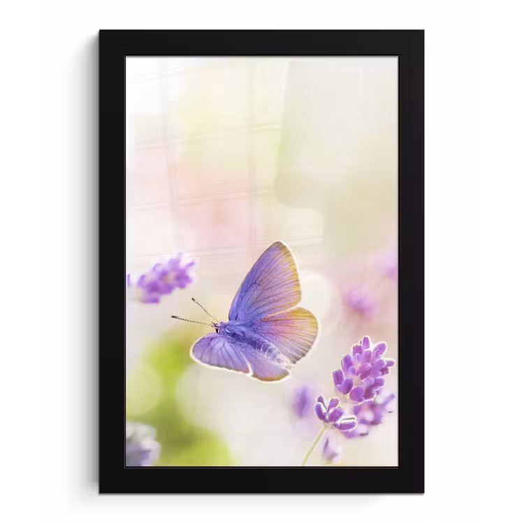 Poster met lijst - Lavendel - Vlinder - Bloemen — 1