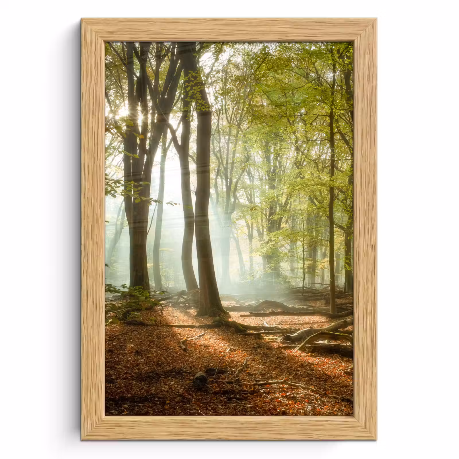 Poster met lijst - Bos - Zon - Seizoenen - Landschap — 1