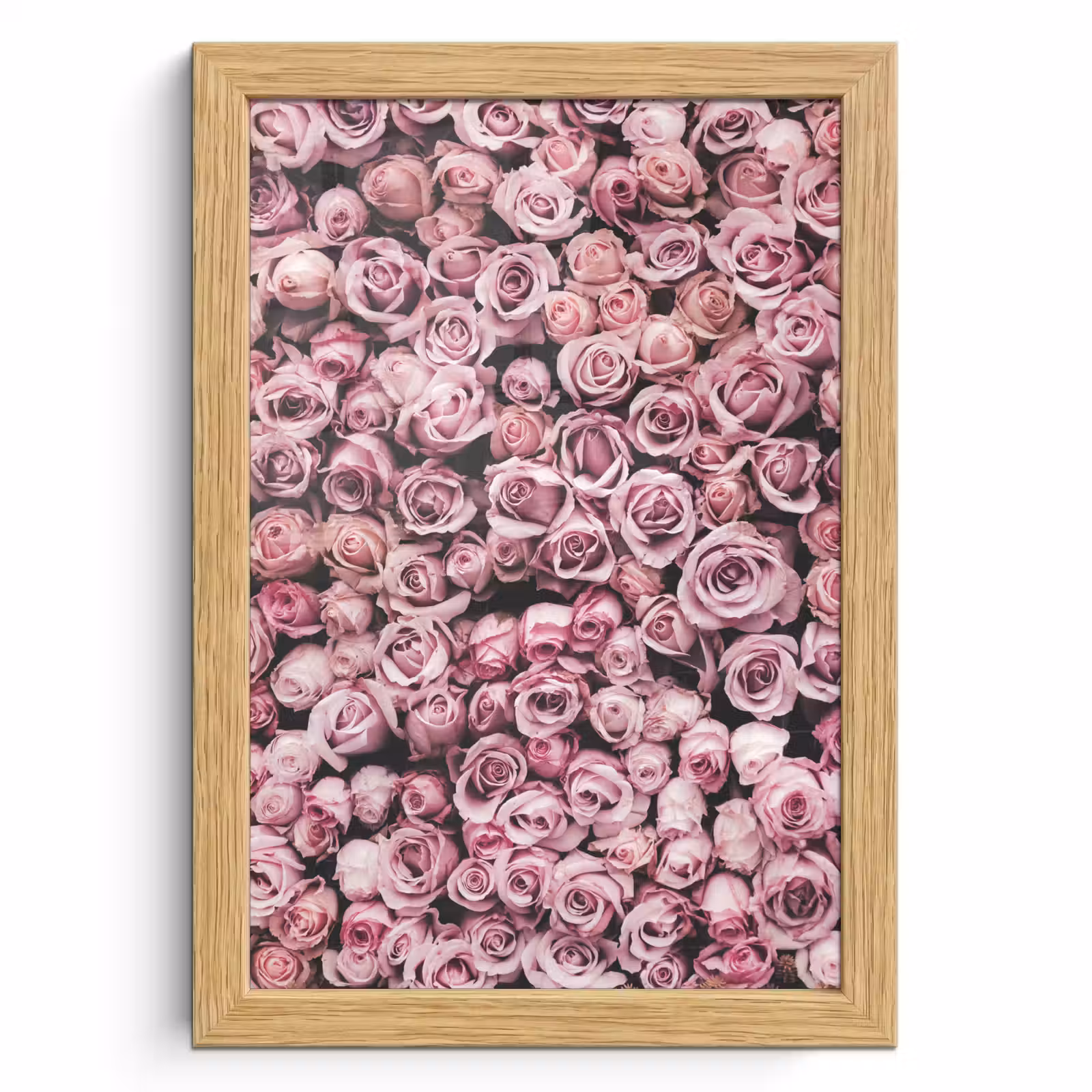 Poster met lijst - Bloemen - Rozen - Natuur - Roze - Botanisch — 1