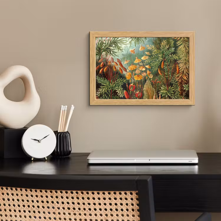 Poster met lijst - Design - Natuur - Paddenstoelen - Ernst Haeckel — 2
