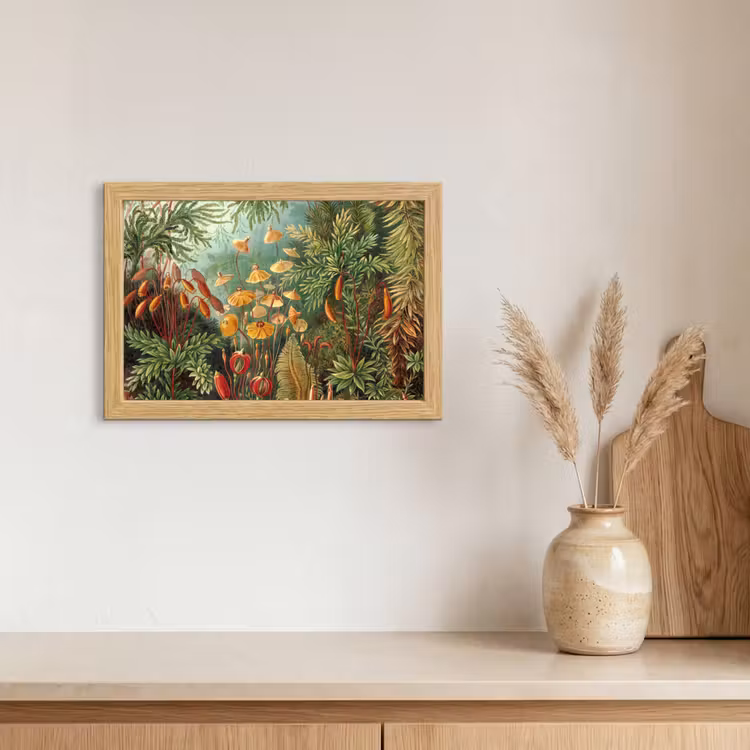 Poster met lijst - Design - Natuur - Paddenstoelen - Ernst Haeckel — 3