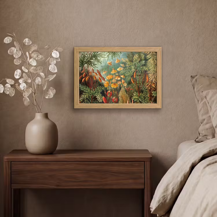 Poster met lijst - Design - Natuur - Paddenstoelen - Ernst Haeckel — 4