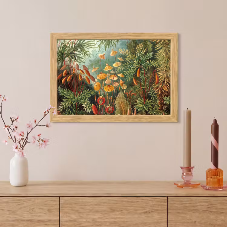 Poster met lijst - Design - Natuur - Paddenstoelen - Ernst Haeckel — 5